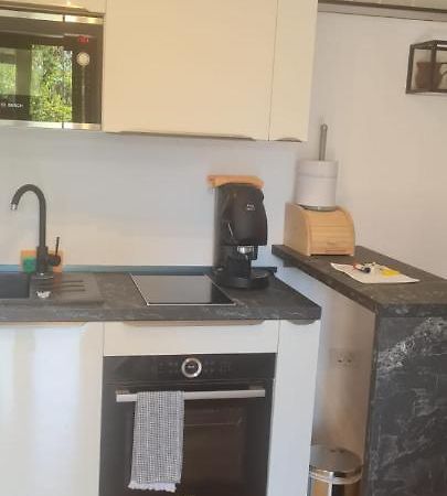 Elena - Studio Apartman Ičići المظهر الخارجي الصورة