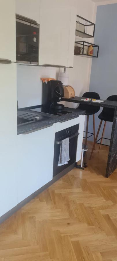 Elena - Studio Apartman Ičići المظهر الخارجي الصورة